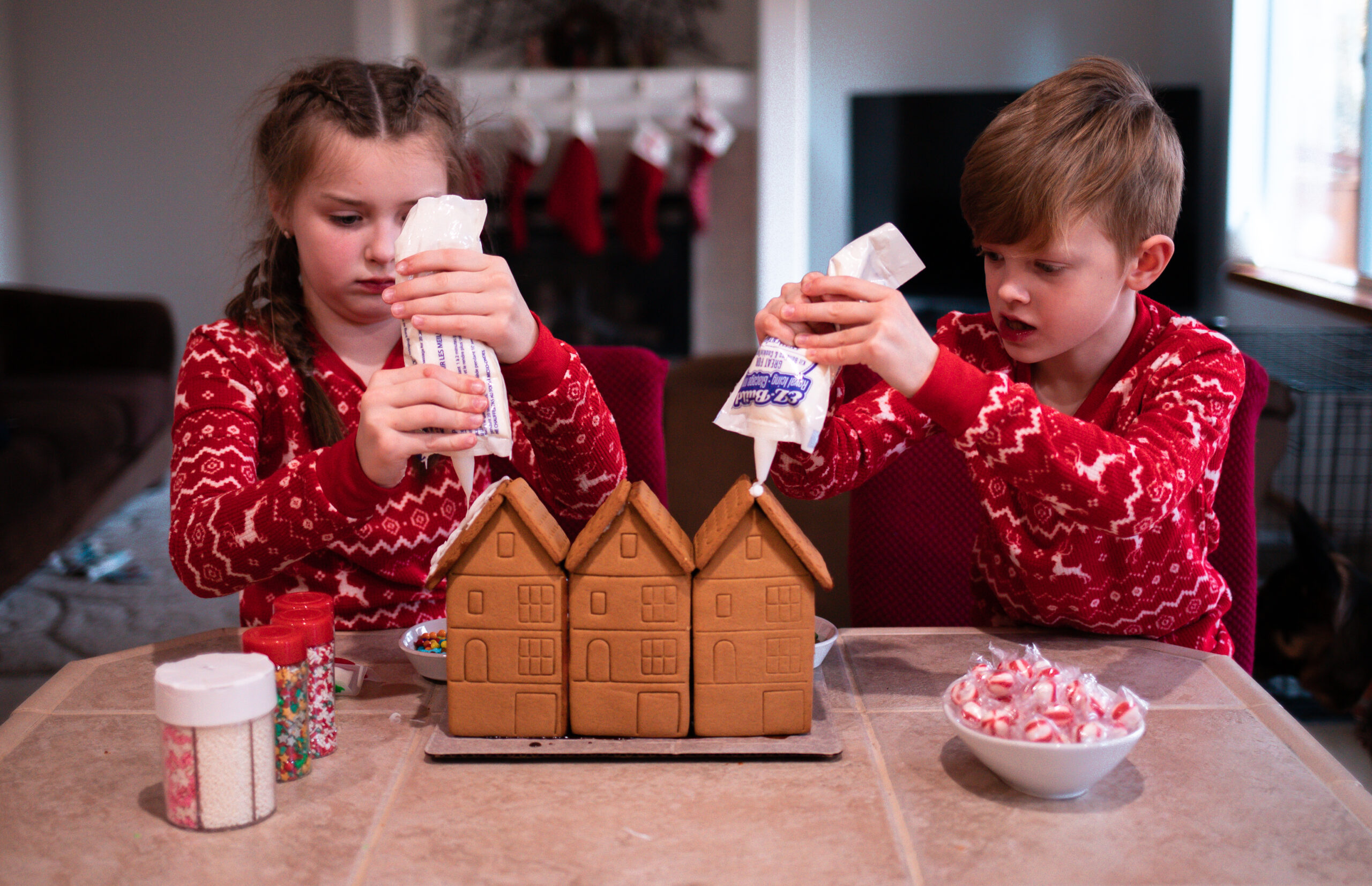 Best gingerbread house kits